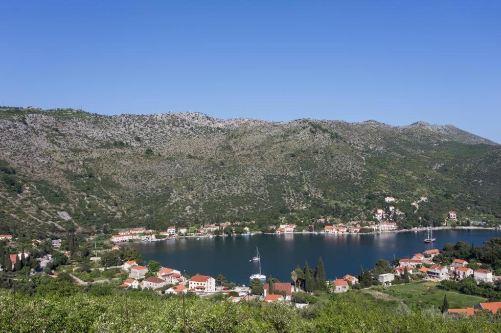 Villa Malfi Zaton  Zimmer foto